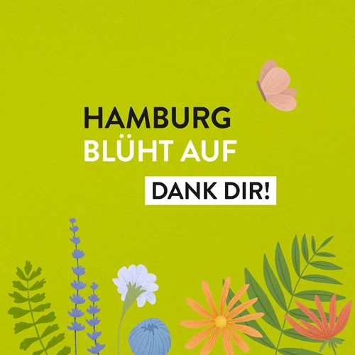 Hamburg blüht auf 2021