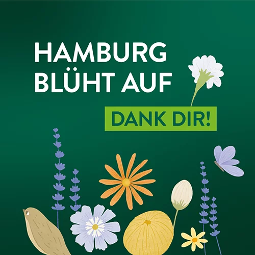 Hamburg blüht auf 2022