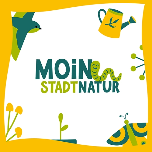 Roll-up – Moin Stadtnatur