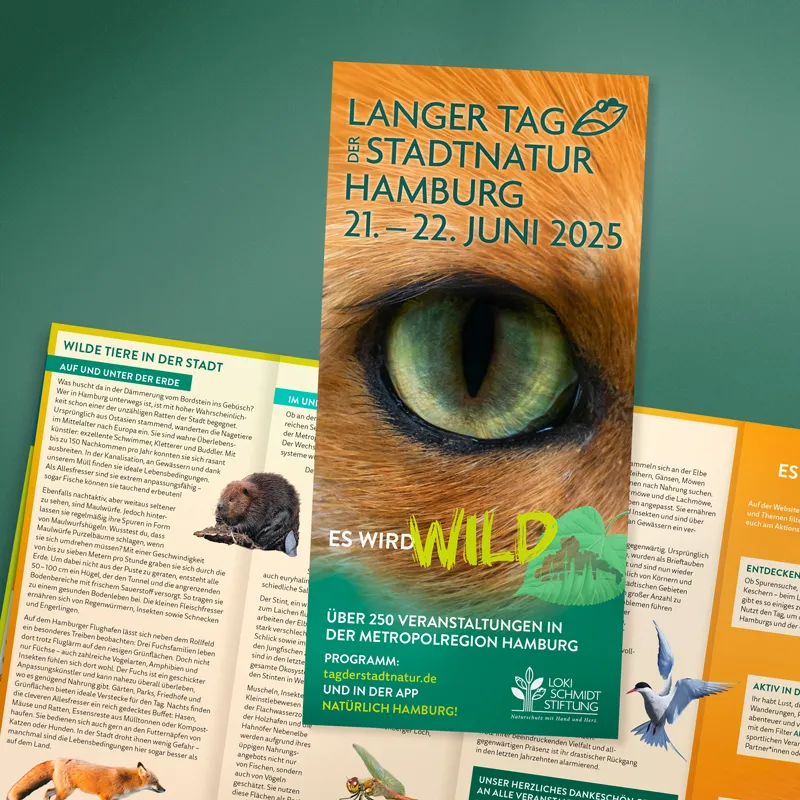 Langer Tag der StadtNatur Hamburg 2025 – Faltblatt