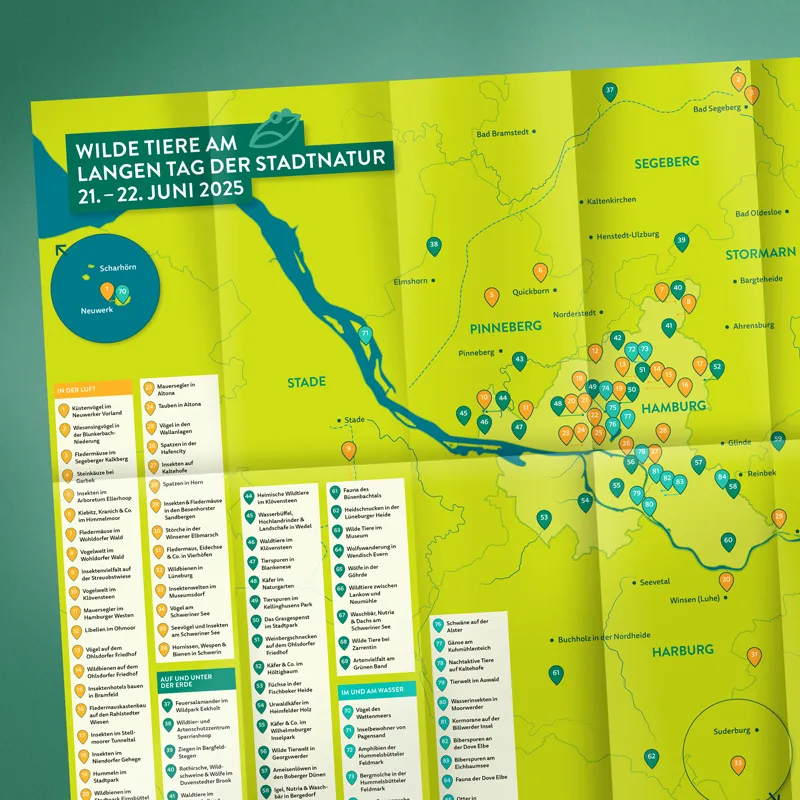 Langer Tag der StadtNatur Hamburg 2025 – Faltblatt