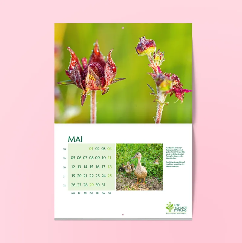 Kalender zur Blume des Jahres 2025 – Loki Schmidt Stiftung Kalender zur Blume des Jahres 2025 – Loki Schmidt Stiftung
